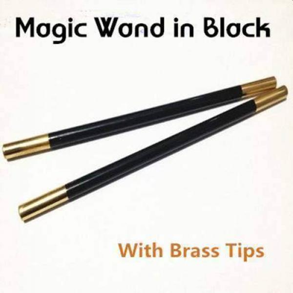 Magic Wand in Black (With Brass Tips) - stainless steel
