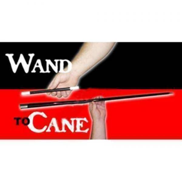 Wand to Cane - Black