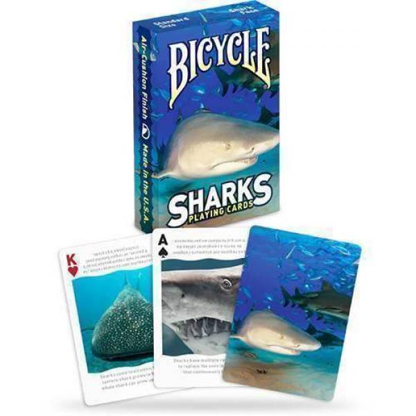 Bicycle - Sharks