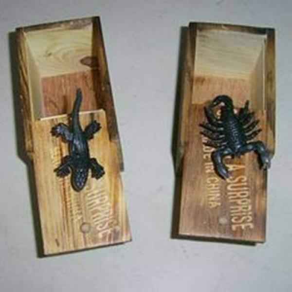 Wooden Insect-Inside Box