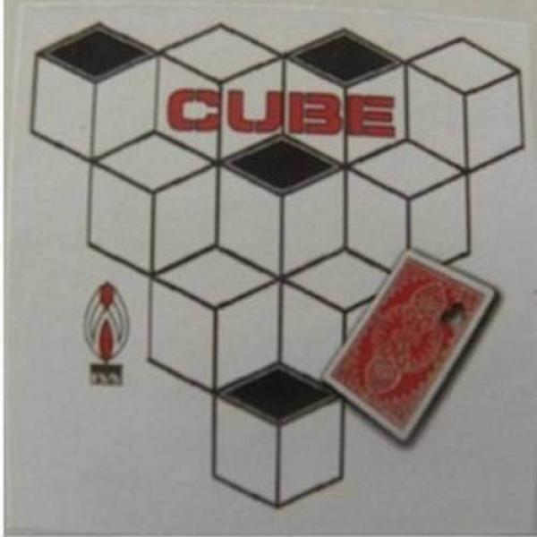 Cube by Shoot Ogawa - DVD and Gimmick