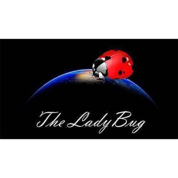 The Ladybug by Hugo Valenzuela