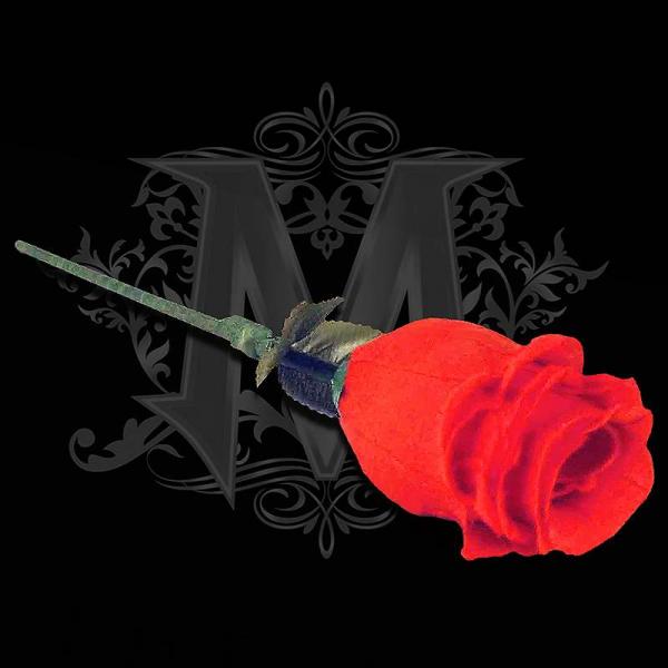 The Rose by Bond Lee & Wenzi Magic