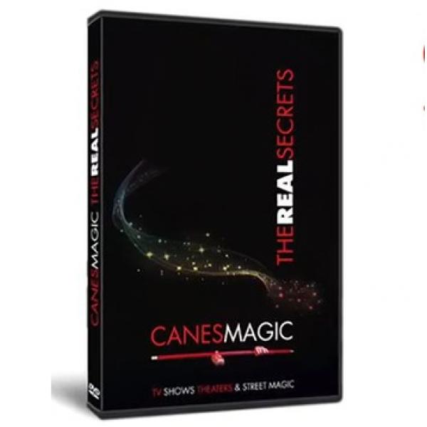 Canes MAGIC - The Real Secrets DVD by Fabien Solaz
