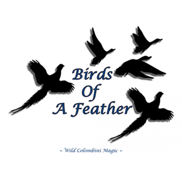 Birds Of A Feather by Wild-Colombini
