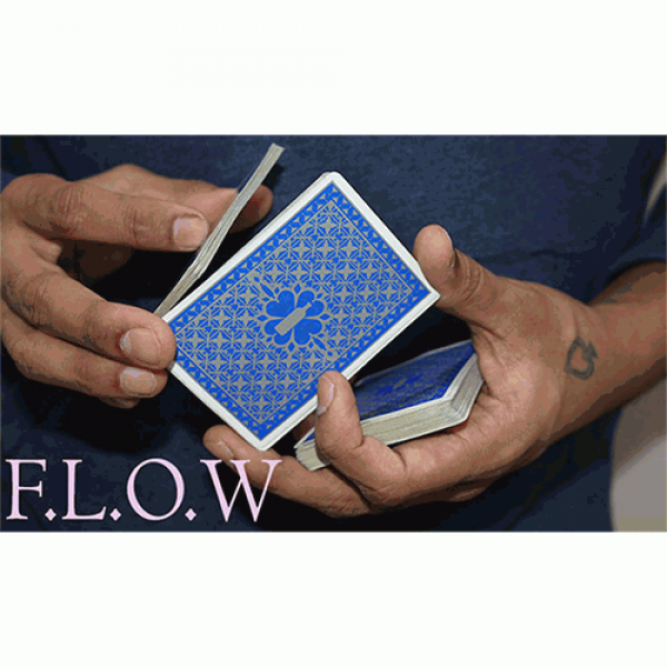 Magic Encarta Presents F.L.O.W by Vivek Singhi - Video DOWNLOAD