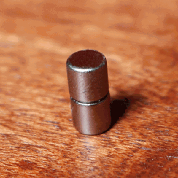 Magnets Rod (5 mm x 10 mm) by Mr. Magic