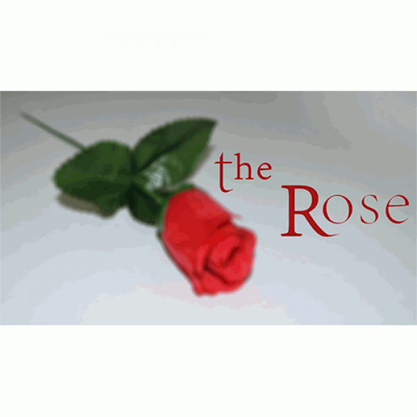 The Rose by Sandro Loporcaro (Amazo) video DOWNLOA...