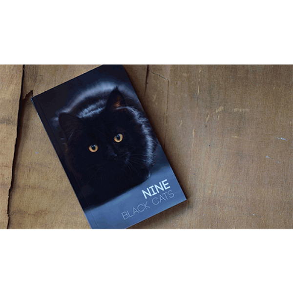 Nine Black Cats by Neemdog and Lorenzo - Book