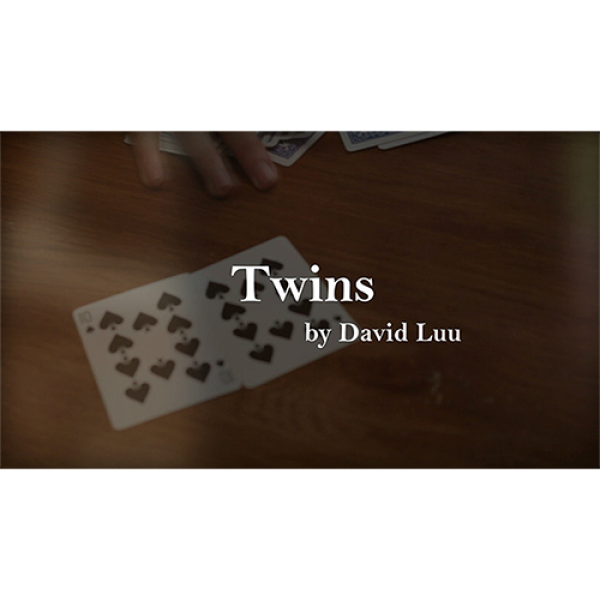 Twins by David Luu video DOWNLOAD