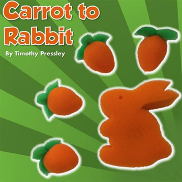 Sponge Carrot to Rabbit by Timothy Pressley and Go...