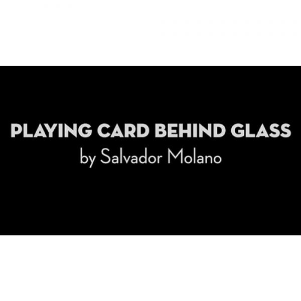 Playing Card Behind Glass by Salvador Molano video DOWNLOAD