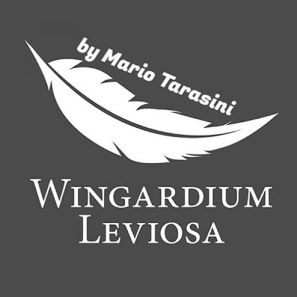 Wingardium Leviosa by Mario Tarasini video DOWNLOAD