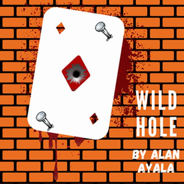Wild Hole by Alan Ayala video DOWNLOAD