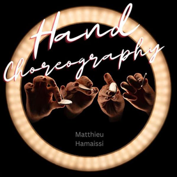 The Vault - Hand Choreography by Matthieu Hamaissi...