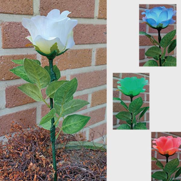 Remote Light Rose Multi-color (Charger Included) b...