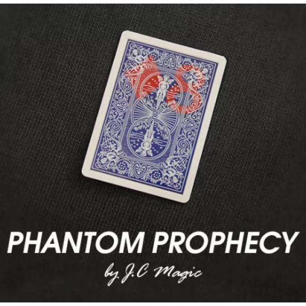Phantom Prophecy by J.C Magic